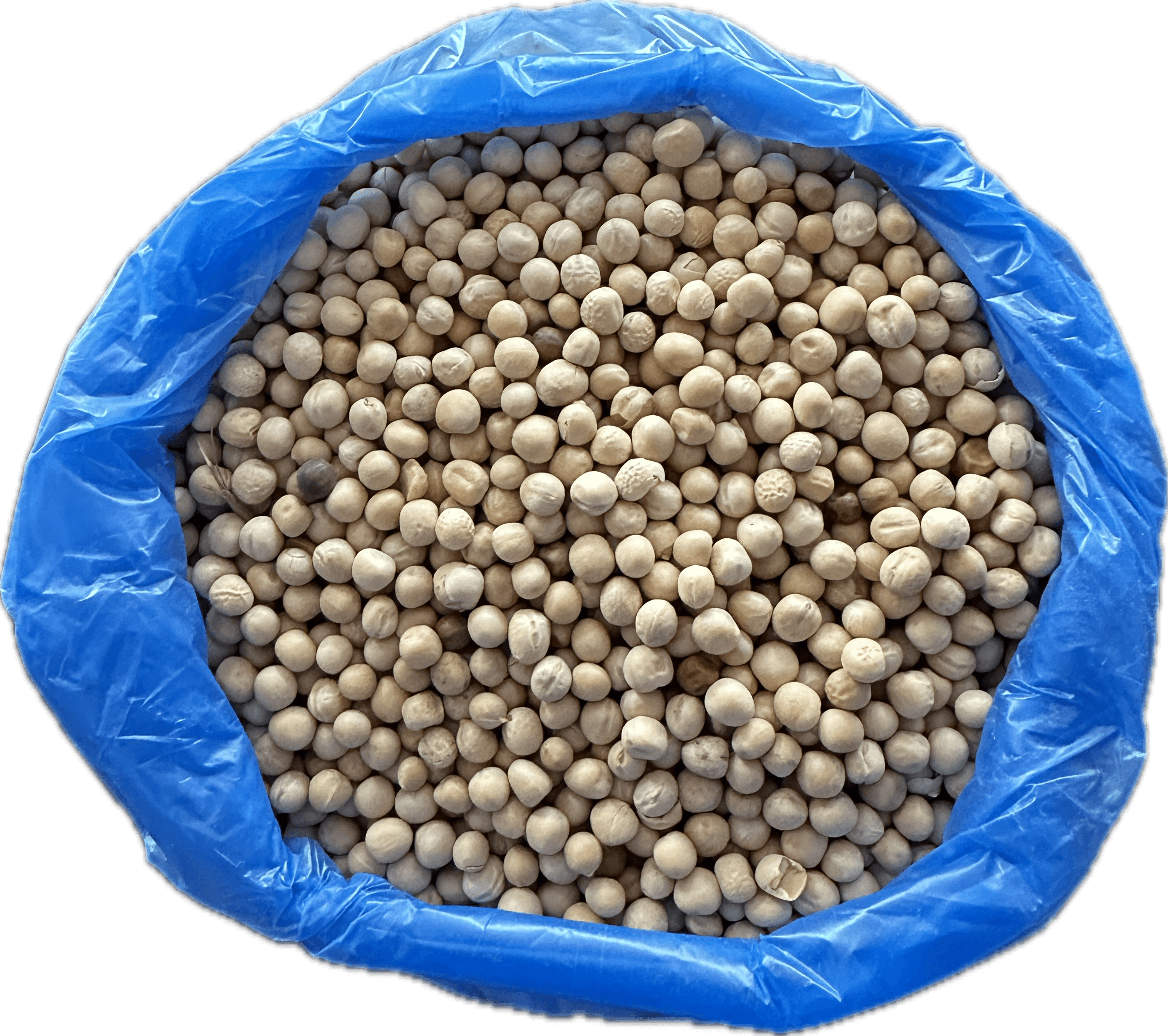 White Motor 1Kg