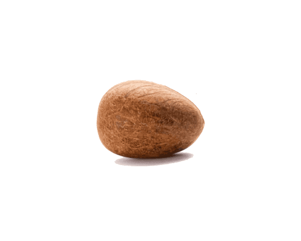 Coconut Whole